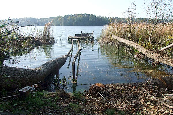 alter Steg vor der Stegsanierung